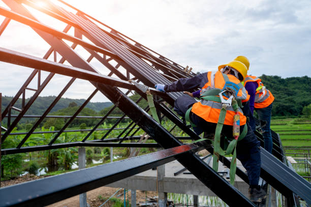 Best Roof Gutter Cleaning  in Forsyth, MT