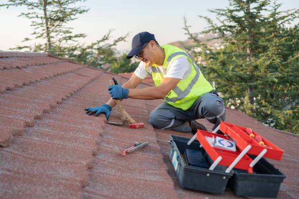 Best Flat Roof Repair Services  in Forsyth, MT