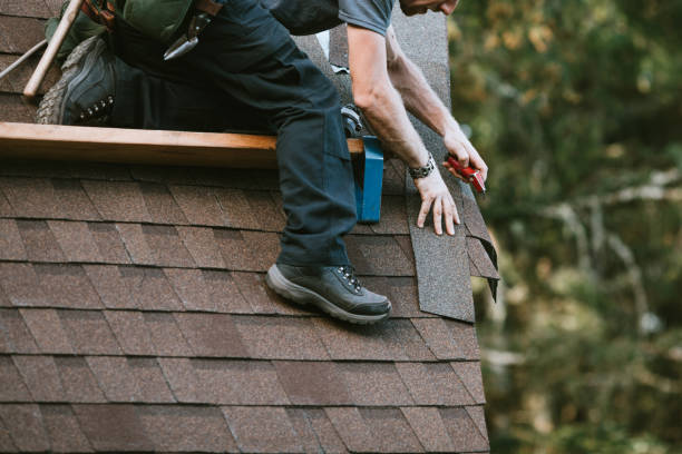 Best Roof Maintenance Services  in Forsyth, MT